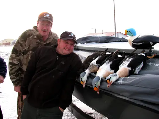 Alaska Sea Duck Hunts — photograph from the Gunners Taxidermy gallery