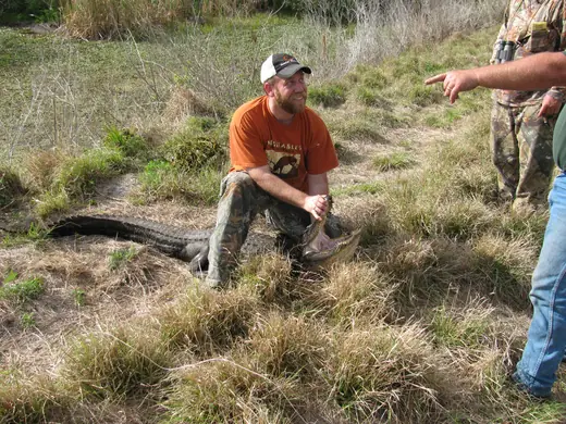 Florida Gator Hunts — photograph from the Gunners Taxidermy gallery