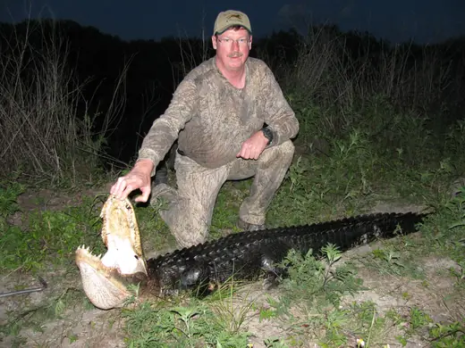 Florida Gator Hunts — photograph from the Gunners Taxidermy gallery