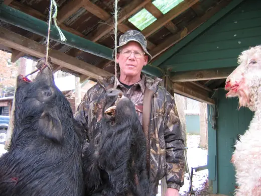 Exotic Hunts — photograph from the Gunners Taxidermy gallery