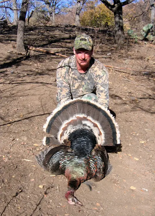 Gould's Turkey Hunts — photograph from the Gunners Taxidermy gallery