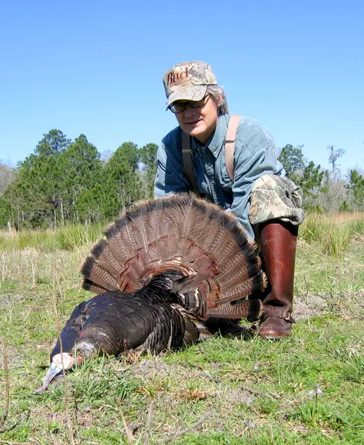 Osceola Turkey Hunts — photograph from the Gunners Taxidermy gallery