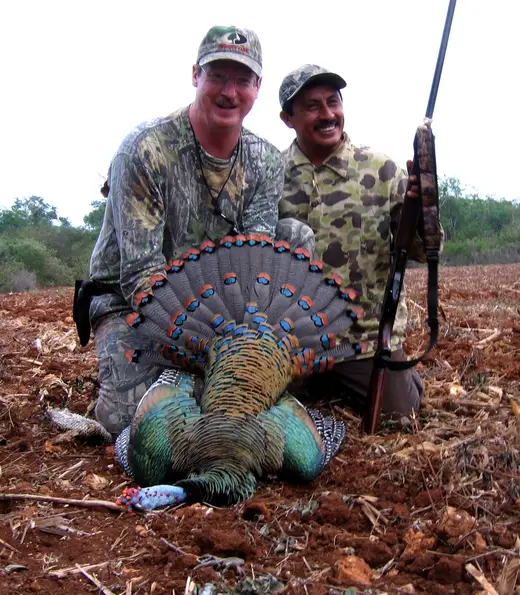 Ocellated Turkey Hunts — photograph from the Gunners Taxidermy gallery