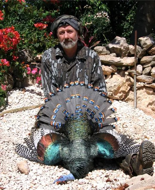 Ocellated Turkey Hunts — photograph from the Gunners Taxidermy gallery